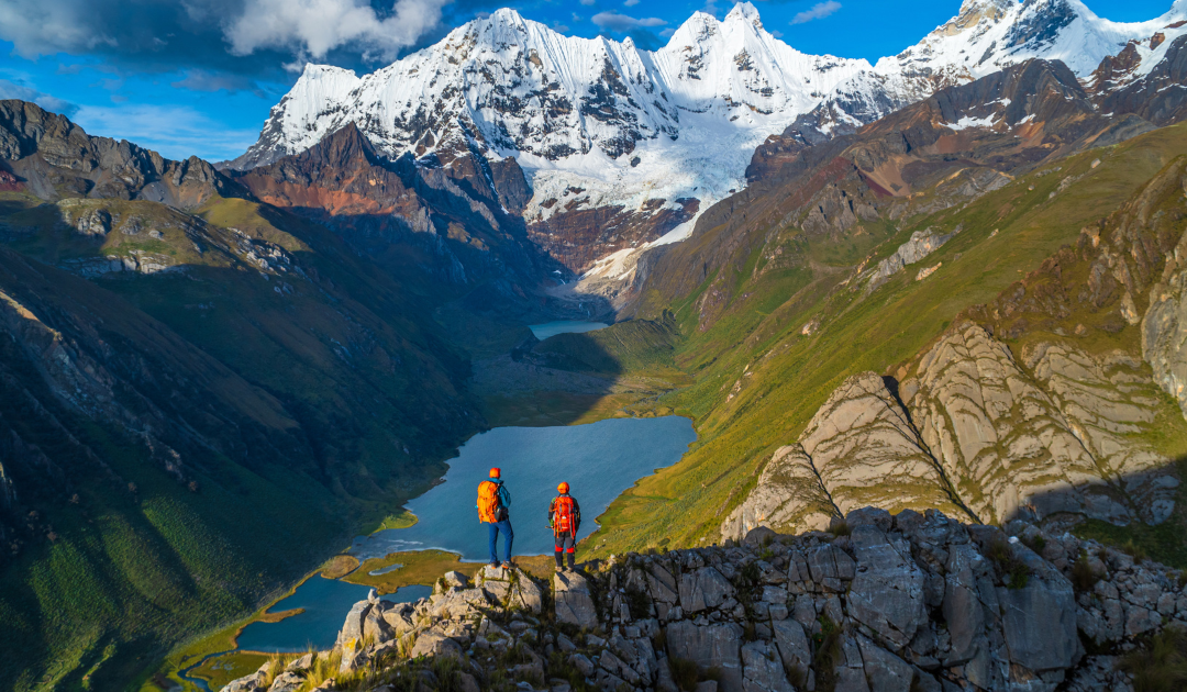 Heliconia Triumphs with Three Telly Awards in 2023