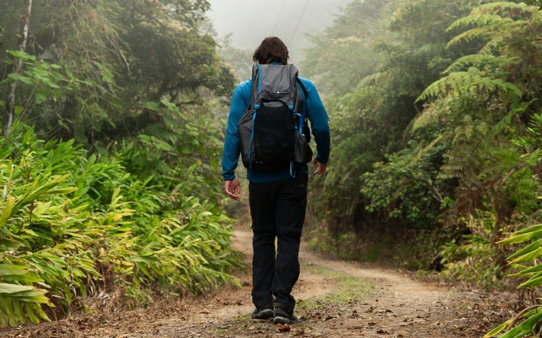Attracting Visitors Year-Round: The Power of Hiking and Backpacking
