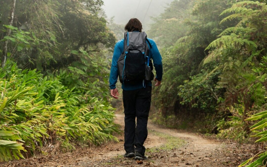 Attracting Visitors Year-Round: The Power of Hiking and Backpacking